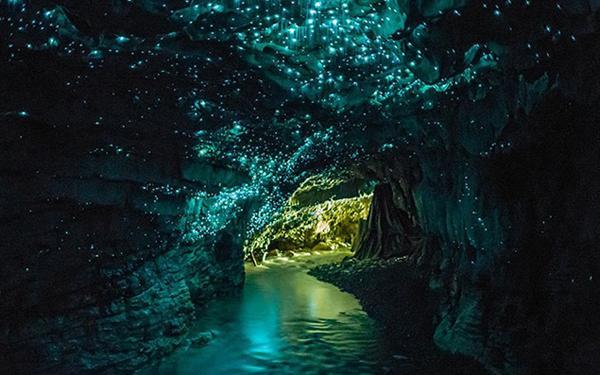 喜迎春节 欢度佳节氛围浓