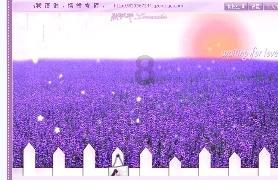 深入了解69岁和70岁的退休人员,养老金差距有多大?,优质知识星球平台,解锁知识新纪元!