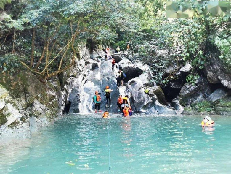 淘气兔救援