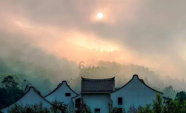 逗小猴开心系列195