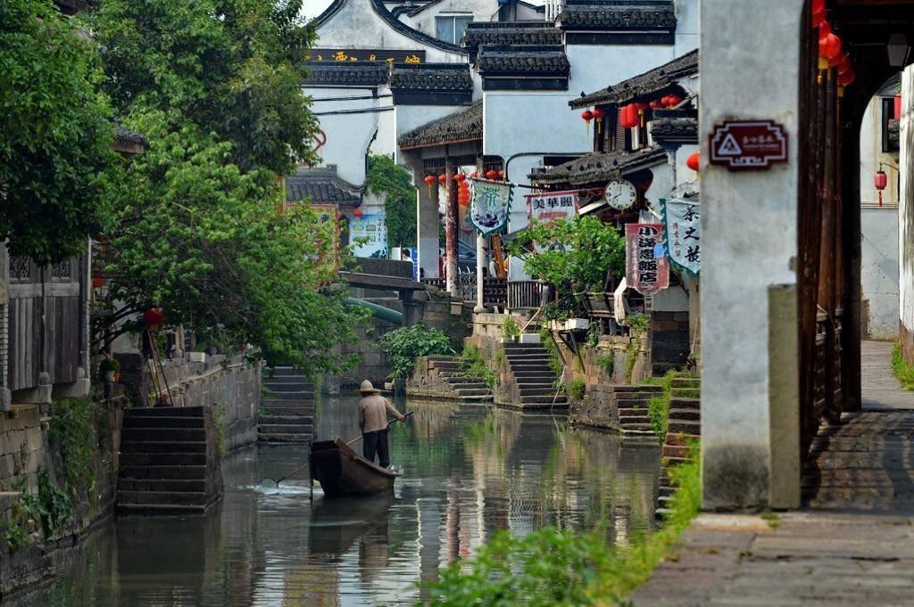 除虫大师